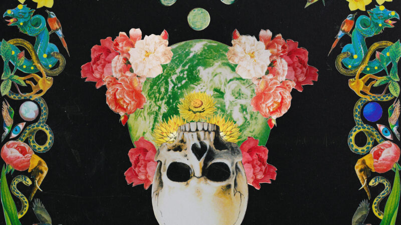 Hippie Death Cult – “Helicrysum”