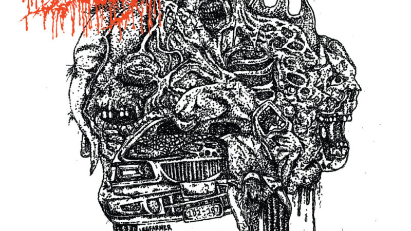 Dripping Decay – „Ripping Remains“