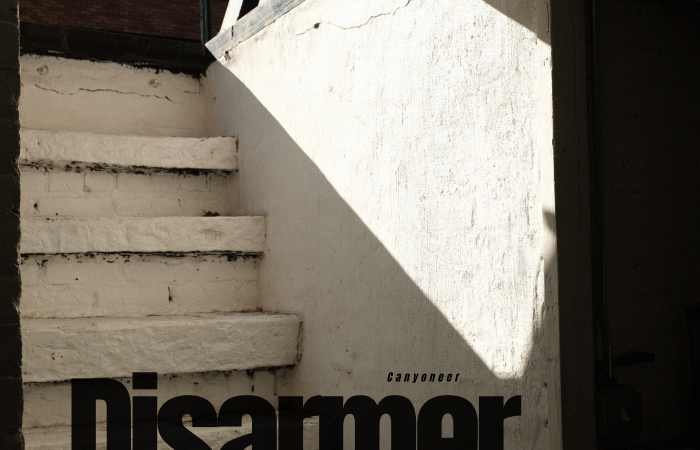 Canyoneer – “Disarmer”