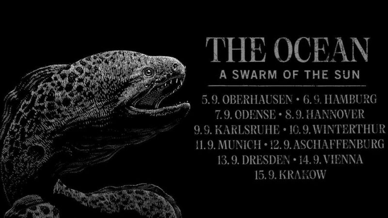 11.09.2024: The Ocean, A Swarm On The Sun, Bipolare Architecture im Backstage München