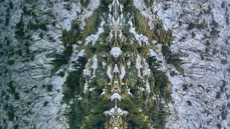 Dead Meadow – „Voyager To Voyager“ (28.03.25)