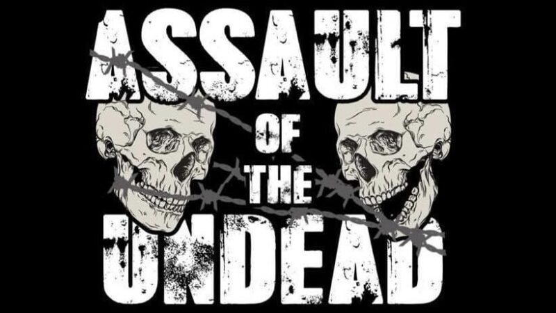 Assault Of The Undead Festival 03.05.25 (DE)