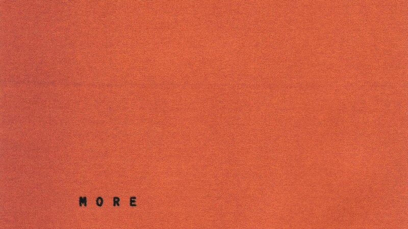 Wallows – „More“ (28.03.)