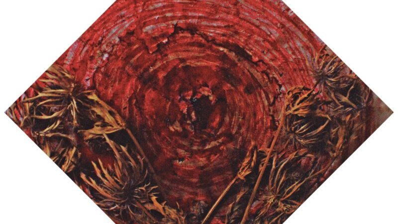 Ainsoph – „Affection and Vengeance“ (14.03.)