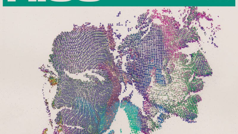 The Barr Brothers – „Let It Hiss“ (17.10.)