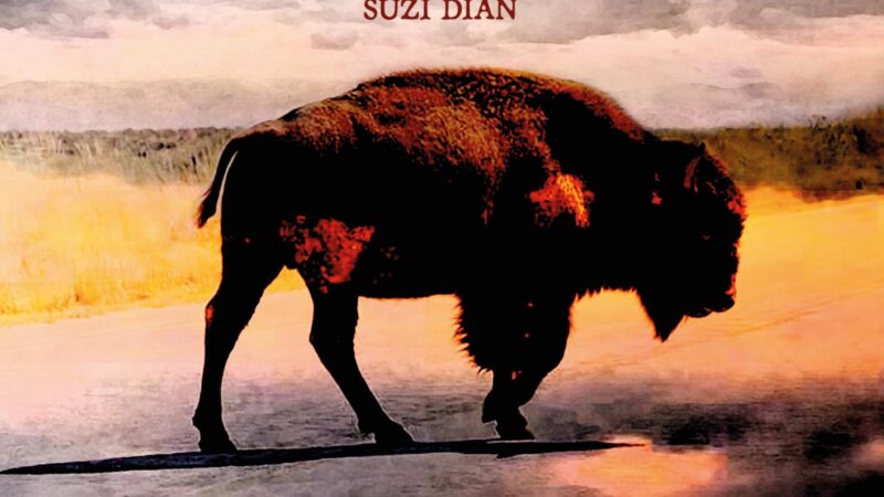 Robert Plant – „Saving Grace“ (26.09.)