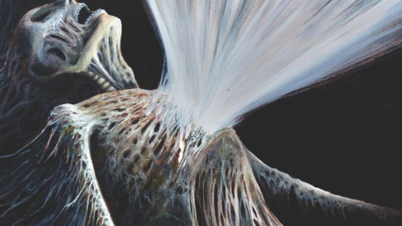 Innumerable Forms – „Pain Effulgence“ (22.08.)