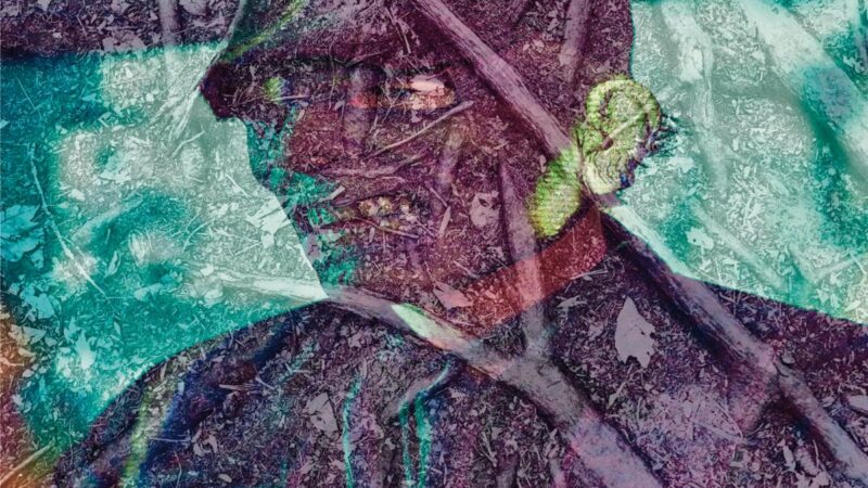 Today Is The Day – „Never Give In“ (03.10.)