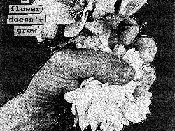 Softcult – „When A Flower Doesn’t Grow“ (30.01.26)