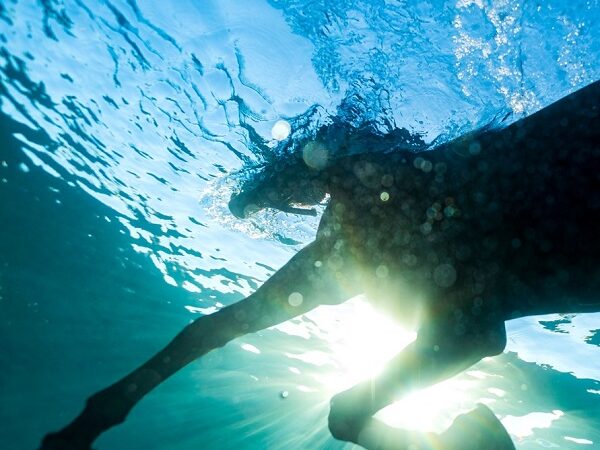 Dream Nails – „You Wish“ (06.02.26)