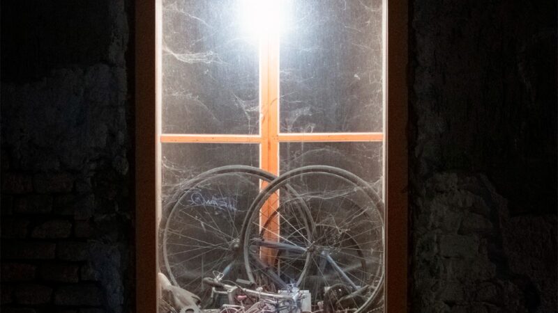 The Cyclist Conspiracy – „Back to Hermetics and Martial Arts Vol.1“ (14.11.)