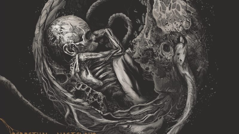 Stonebirds – „Perpetual Wasteland“ (10.10.)