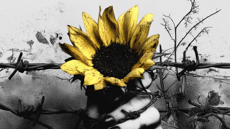 Stellvris – „Shatter and Bloom“ (07.11.)