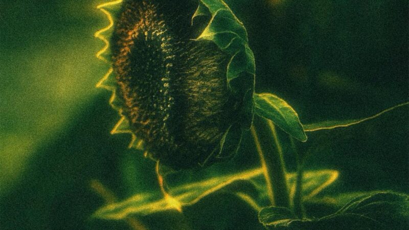 Radian – „Subterfuge“ (20.03.)