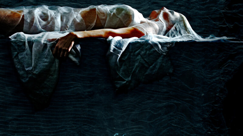 Dead Register – „Fiber“ (22.05.)