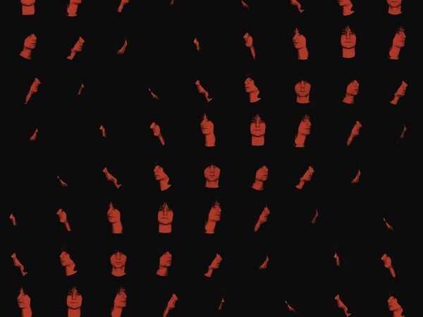 The Lemon Twigs – „Look For Your Mind!“ (08.05.)