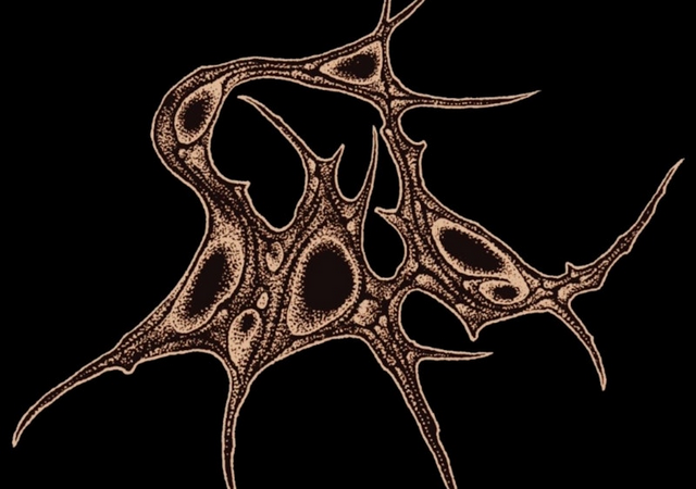 Neues aus dem Hause: SAL