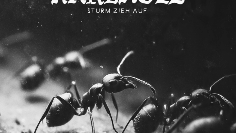 Kärbholz – “Sturm Zieht Auf” (18.09.)