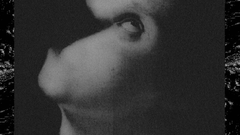 Viscera – “4. Assets For Psychedelic Warfare” (24.07.)