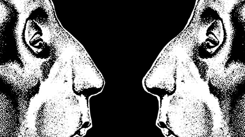 Neues aus dem Hause: Man Looking Man