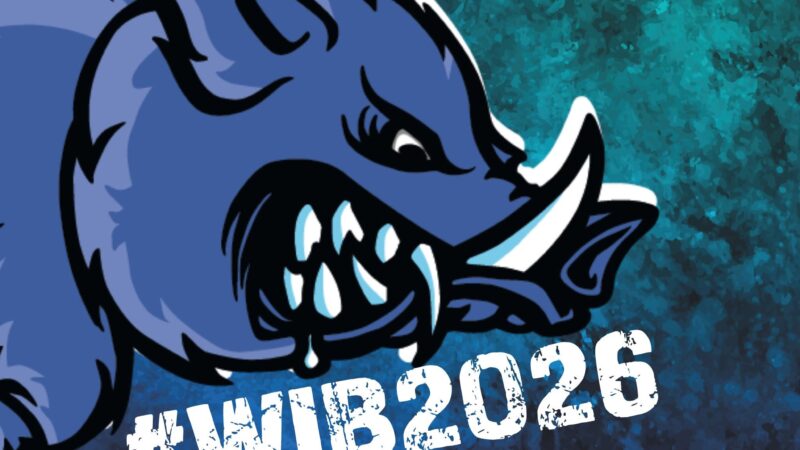 Neues vom: Wallesau ist Blau Festival 2026
