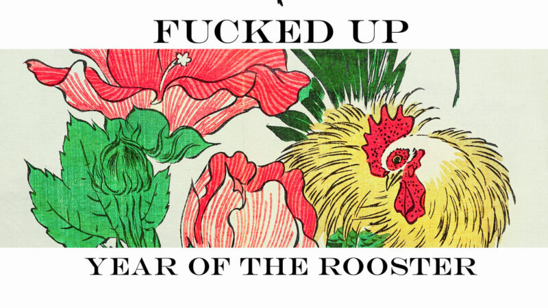 Fucked Up – “Year Of The Rooster” (13.11.)